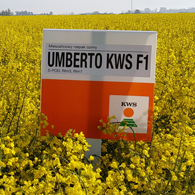 UMBERTO KWS F1