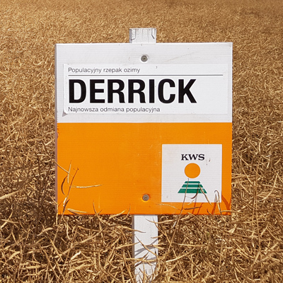 DERRICK