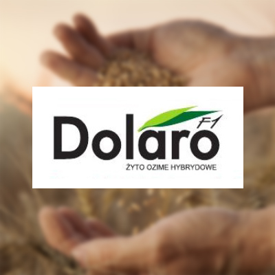 Dolaro