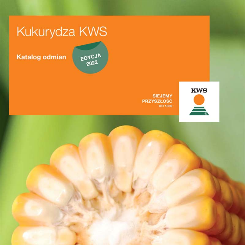 Katalog odmian kukurydzy 2022