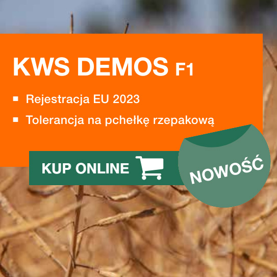 KWS Demos