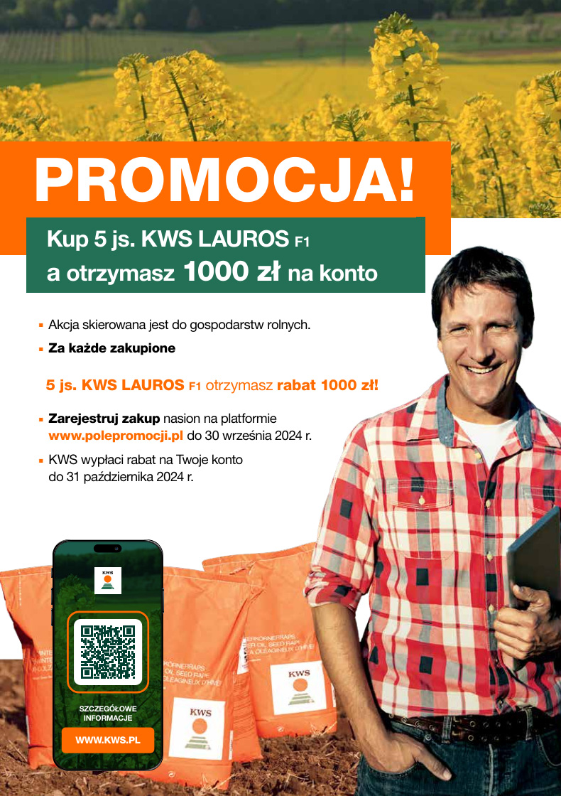 promocja