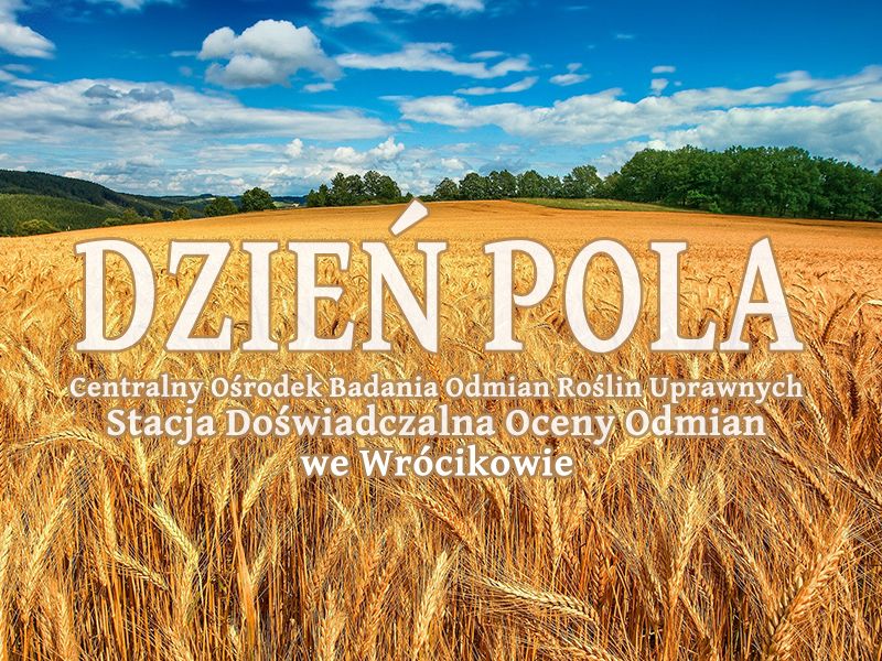 Dzień Pola