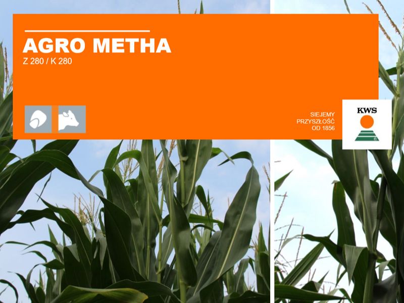 AGRO METHA